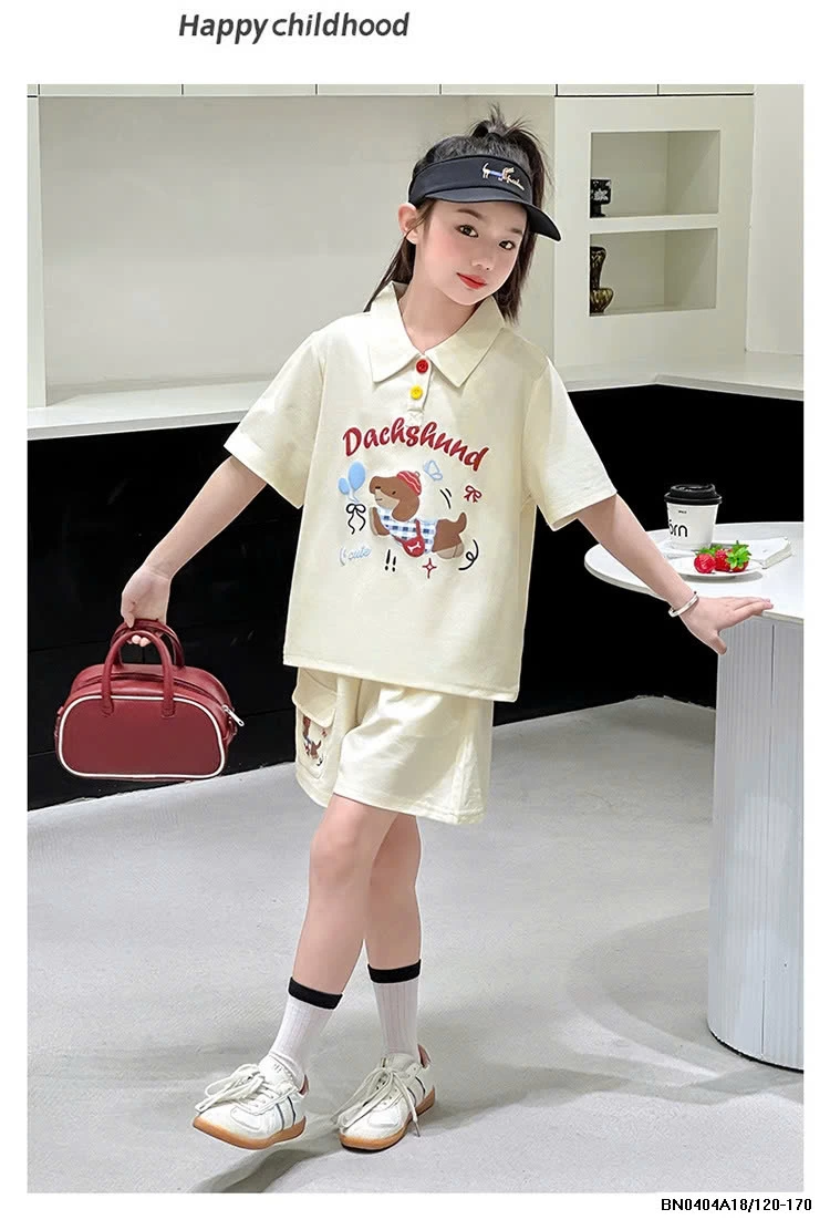 SÉT CỘC POLO CÚN SZ ĐẠI