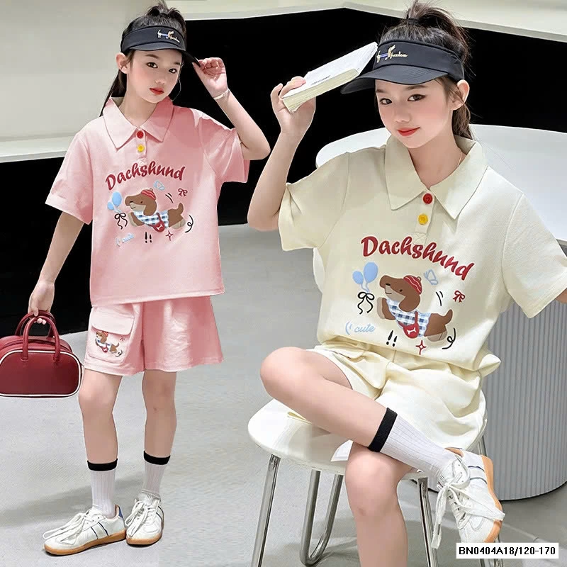 SÉT CỘC POLO CÚN SZ ĐẠI