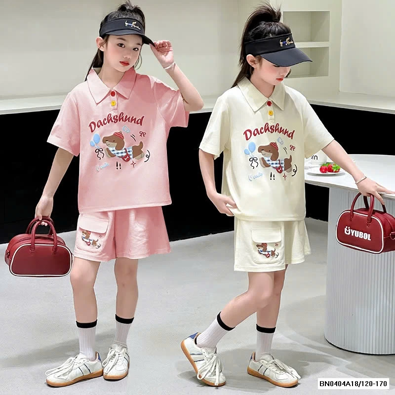 SÉT CỘC POLO CÚN SZ ĐẠI