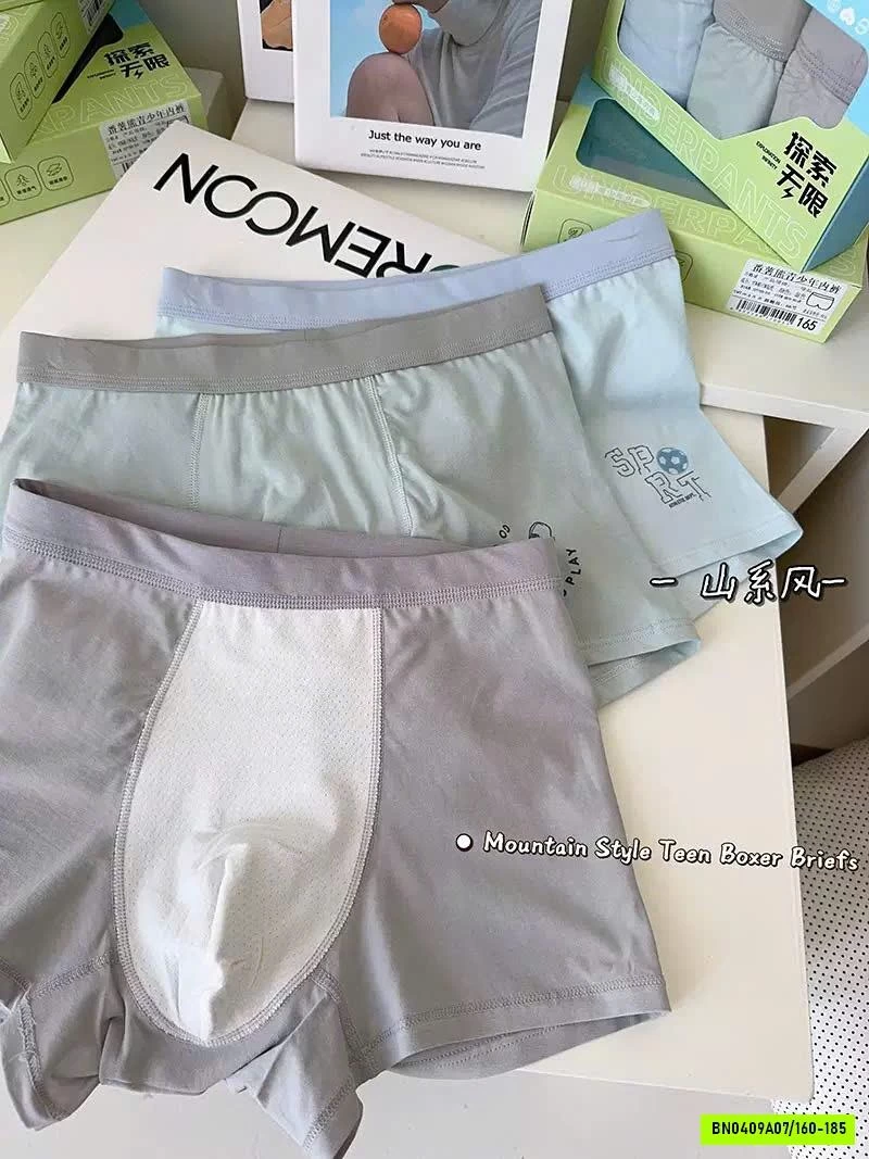 SET 3 QUẦN SỊP ĐÙI BÉ TRAI SIZE ĐẠI