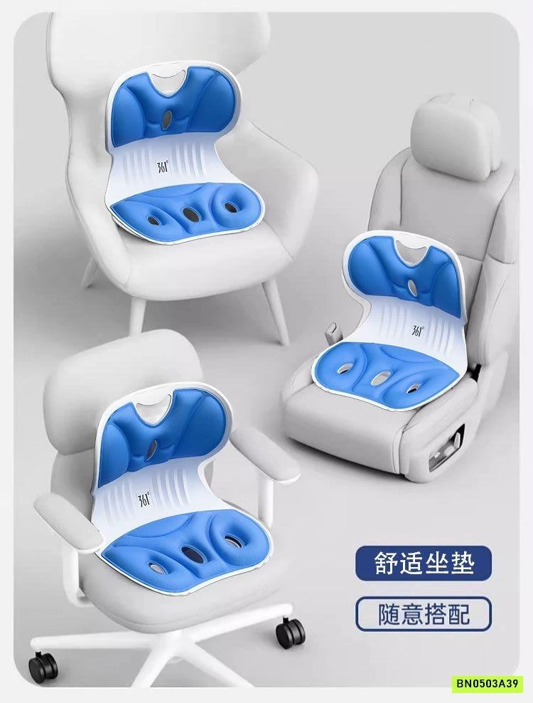 GHẾ TỰA LƯNG CÔNG THÁI HỌC 361