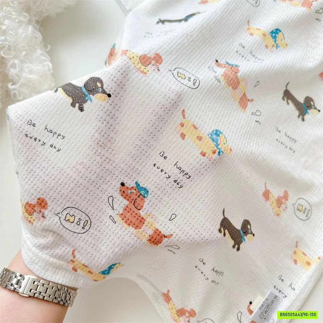 BỘ CỘC THÔNG HƠI HOẠT HÌNH