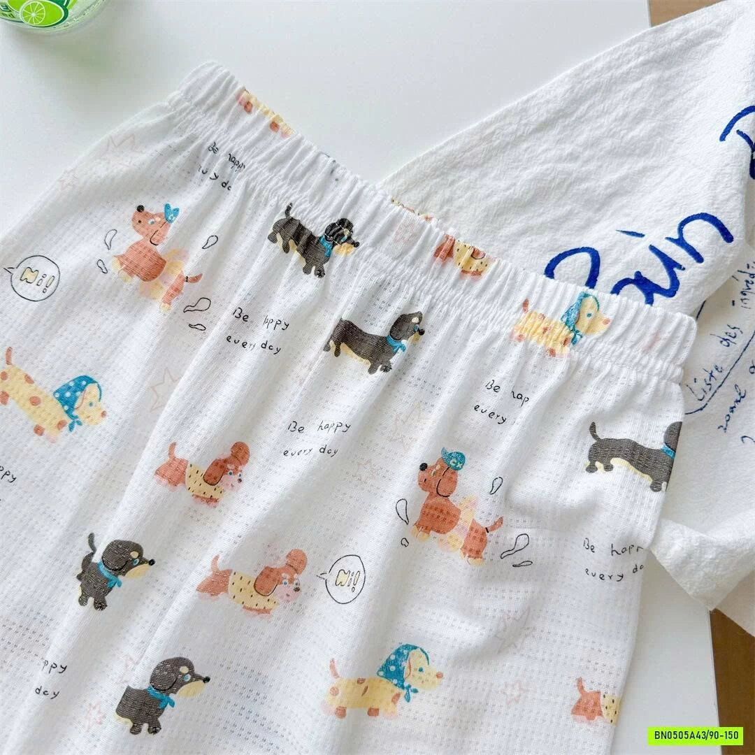 BỘ CỘC THÔNG HƠI HOẠT HÌNH