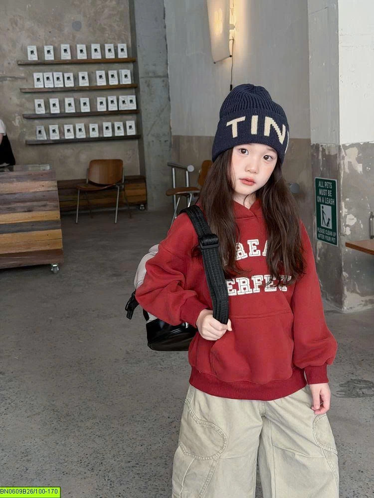 ÁO HOODIE IN CHỮ AMBB 26E069