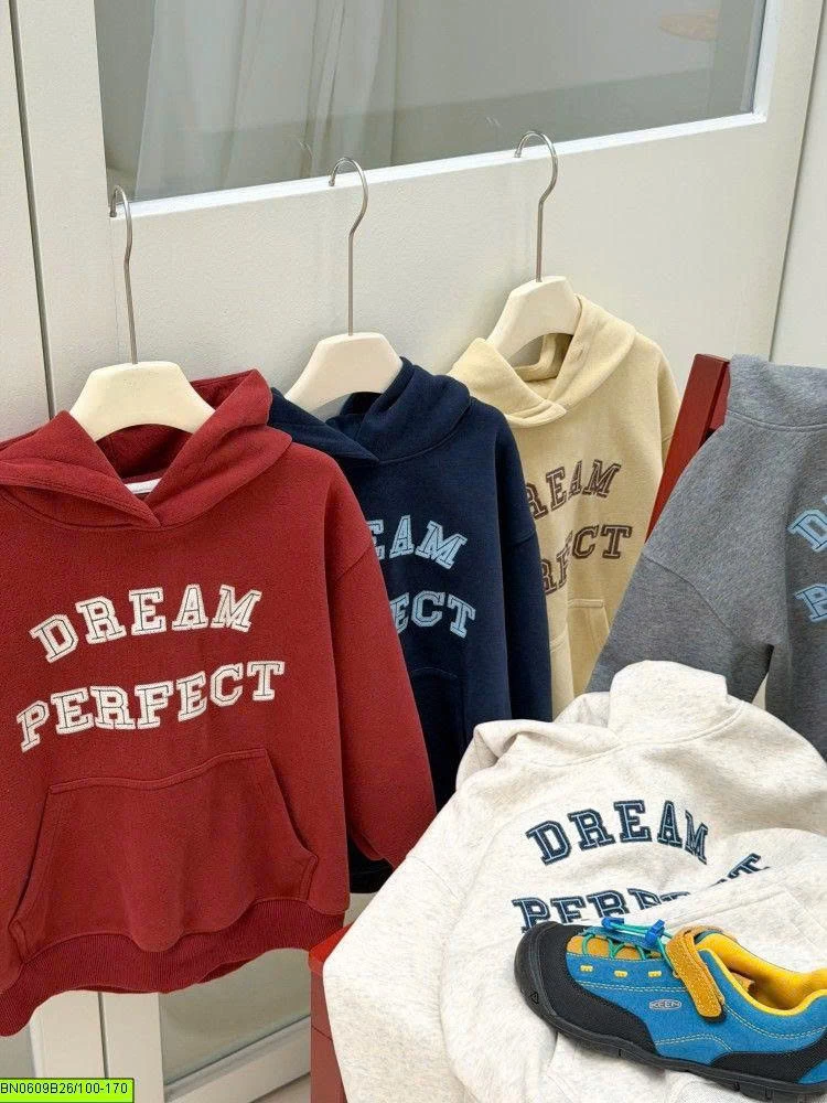 ÁO HOODIE IN CHỮ AMBB 26E069