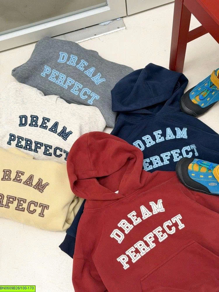 ÁO HOODIE IN CHỮ AMBB 26E069