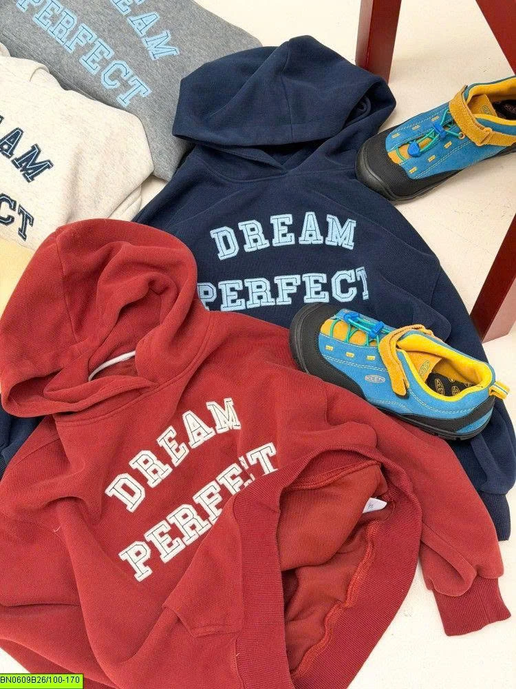 ÁO HOODIE IN CHỮ AMBB 26E069