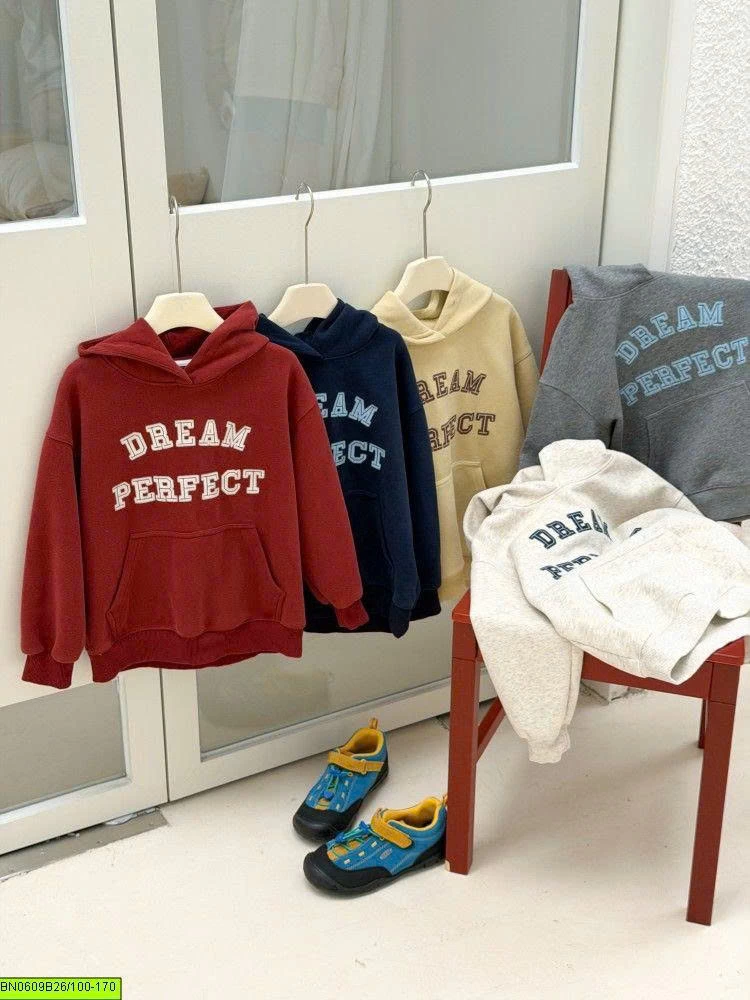 ÁO HOODIE IN CHỮ AMBB 26E069