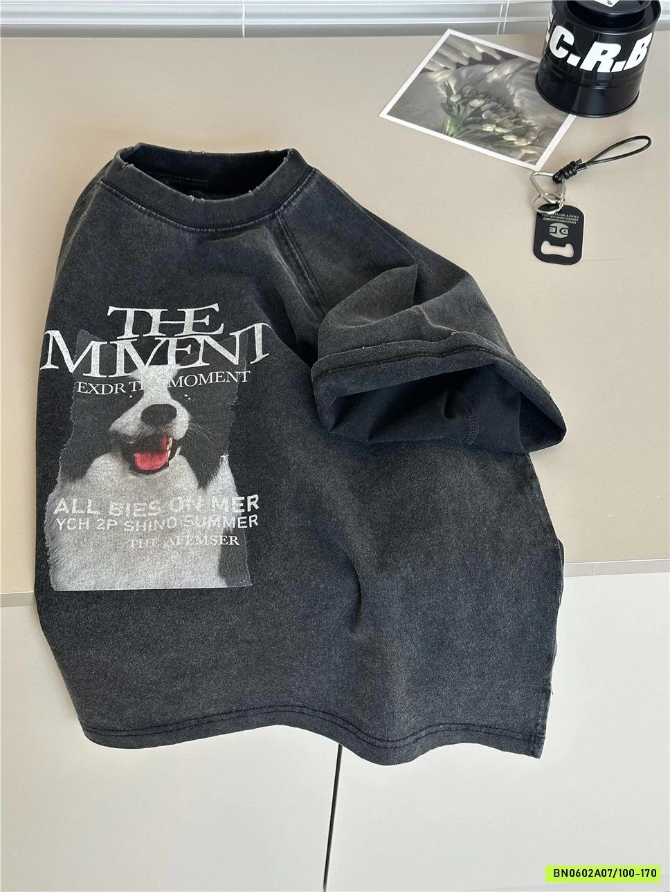 ÁO THUN CÚN SNIDOLS