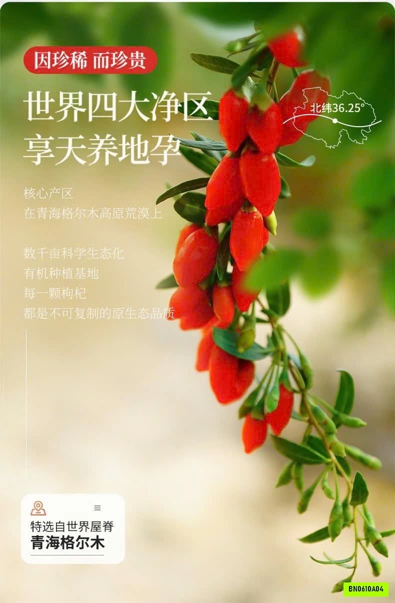 KỶ TỬ ORGANIC QILIXIANG LOẠI ĐẶC BIỆT 250GAM