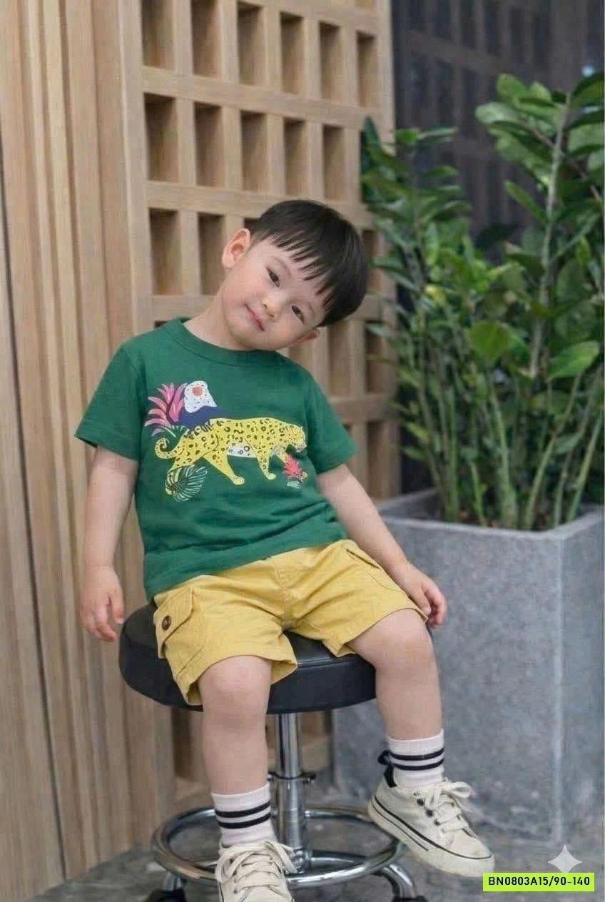 SÉT BỘ BÁO XANH MAVEN