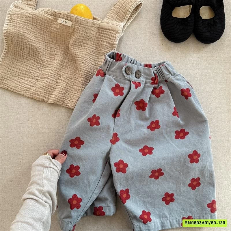 BAGGY HOA LỠ 6095 ADBABY