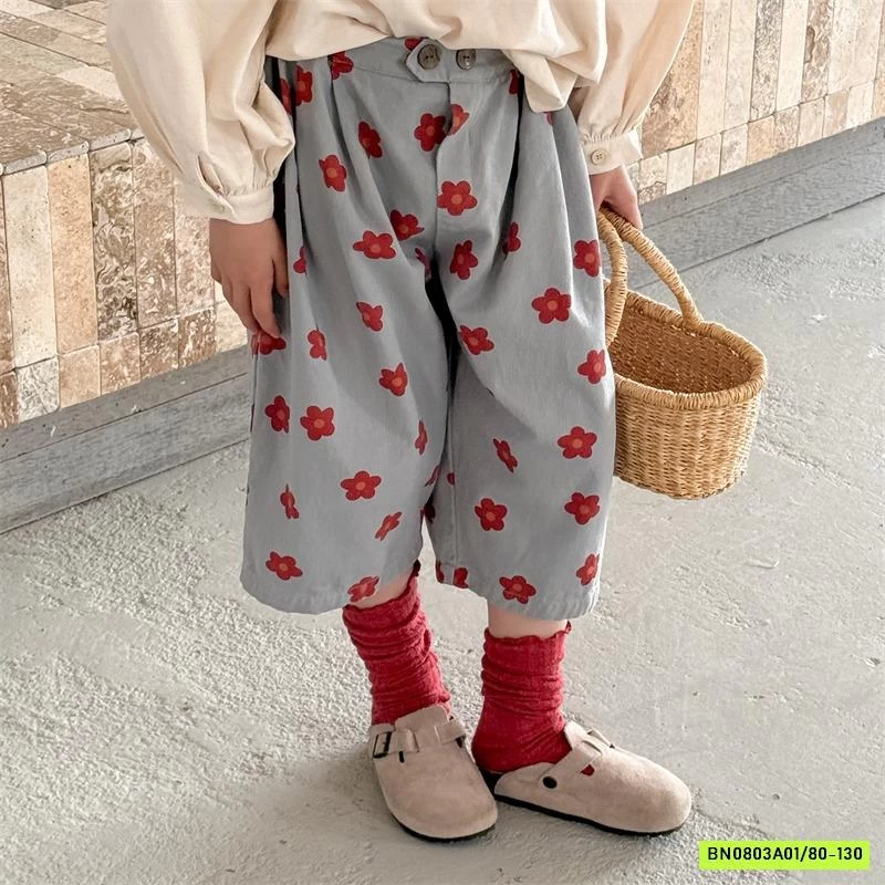 BAGGY HOA LỠ 6095 ADBABY