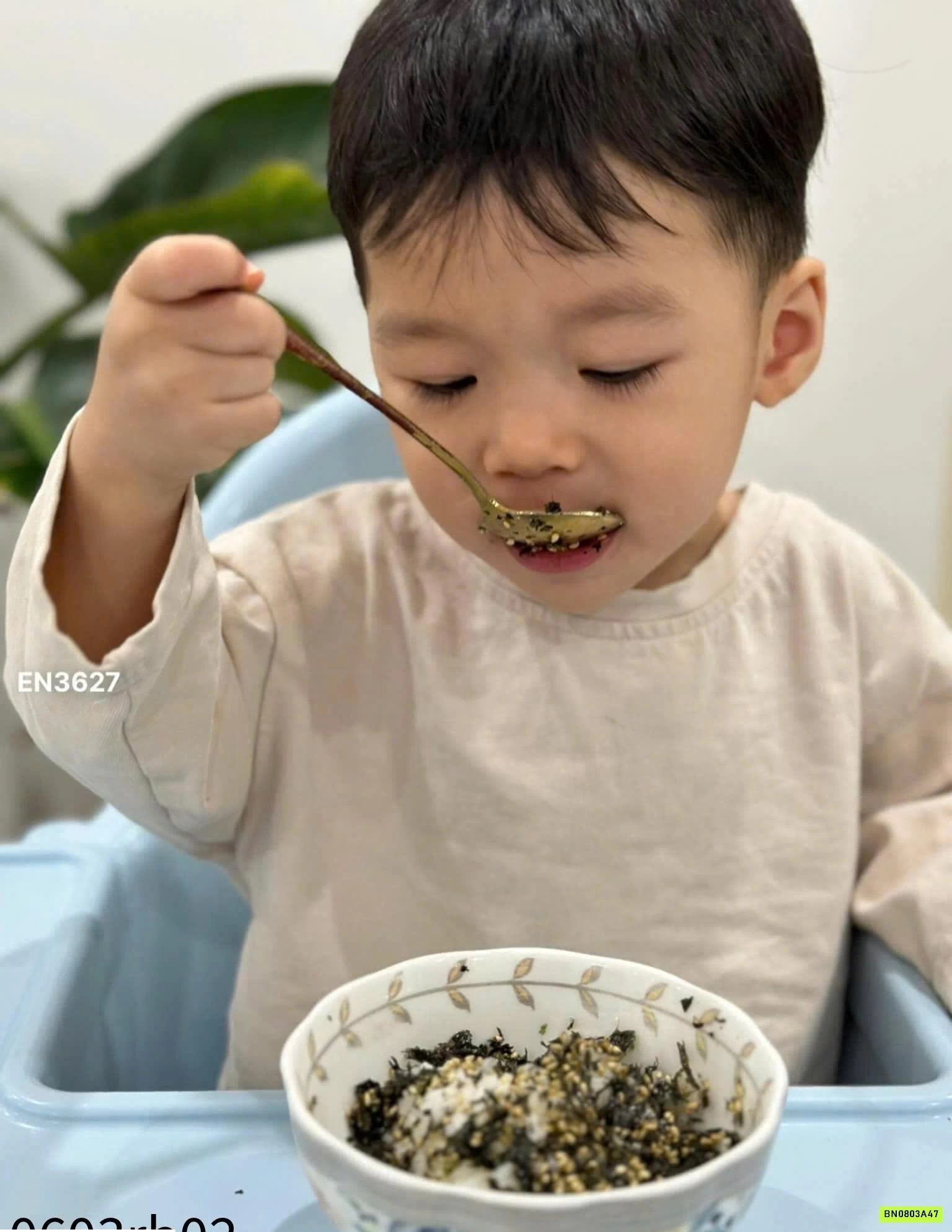 COMBO 2H RONG BIỂN BIBIZAN