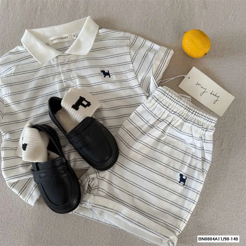 SÉT POLO KẺ 70391 MMY