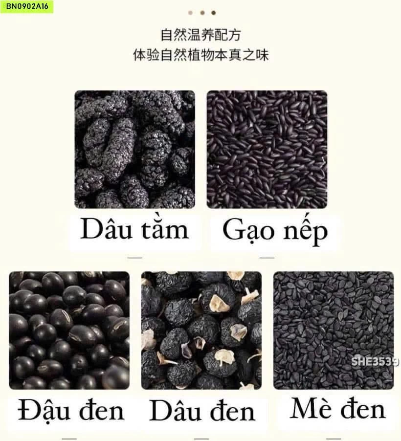 TRÀ NGŨ HẮC NỘI ĐỊA