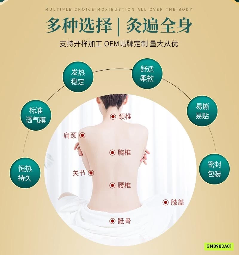 SÉT 2H MIẾNG DÁN TOẢ NHIỆT NGẢI CỨU