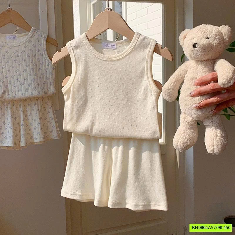 BỘ COTTON GIẤY THÔNG HƠI