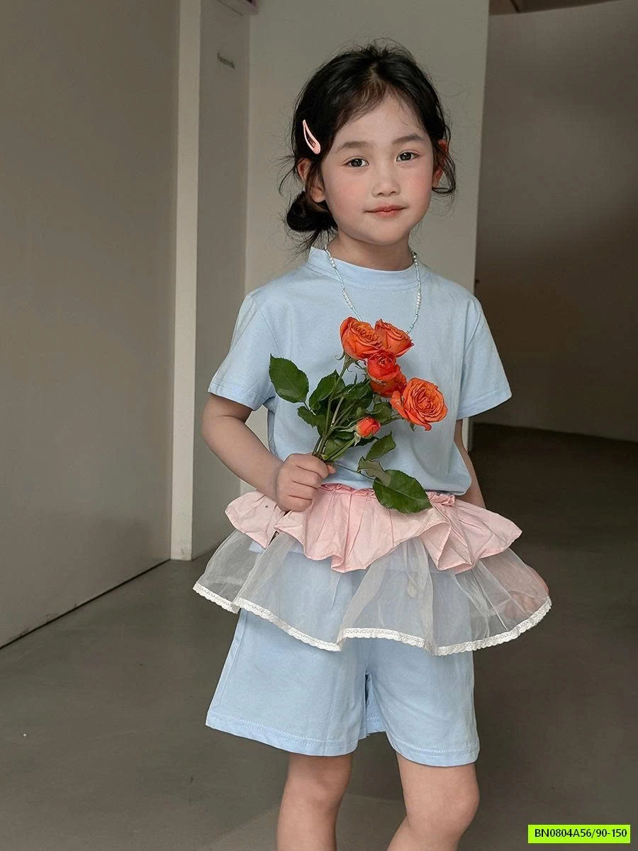 BỘ COTTON CỘC TRƠN MÀU