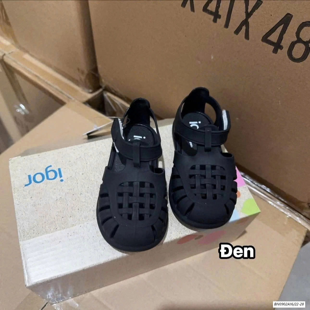 DÉP RỌ THƠM IGOR