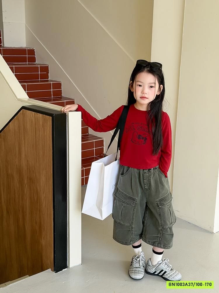 QUẦN LỬNG TÚI HỘP CÁ TÍNH 26A212 AMBB