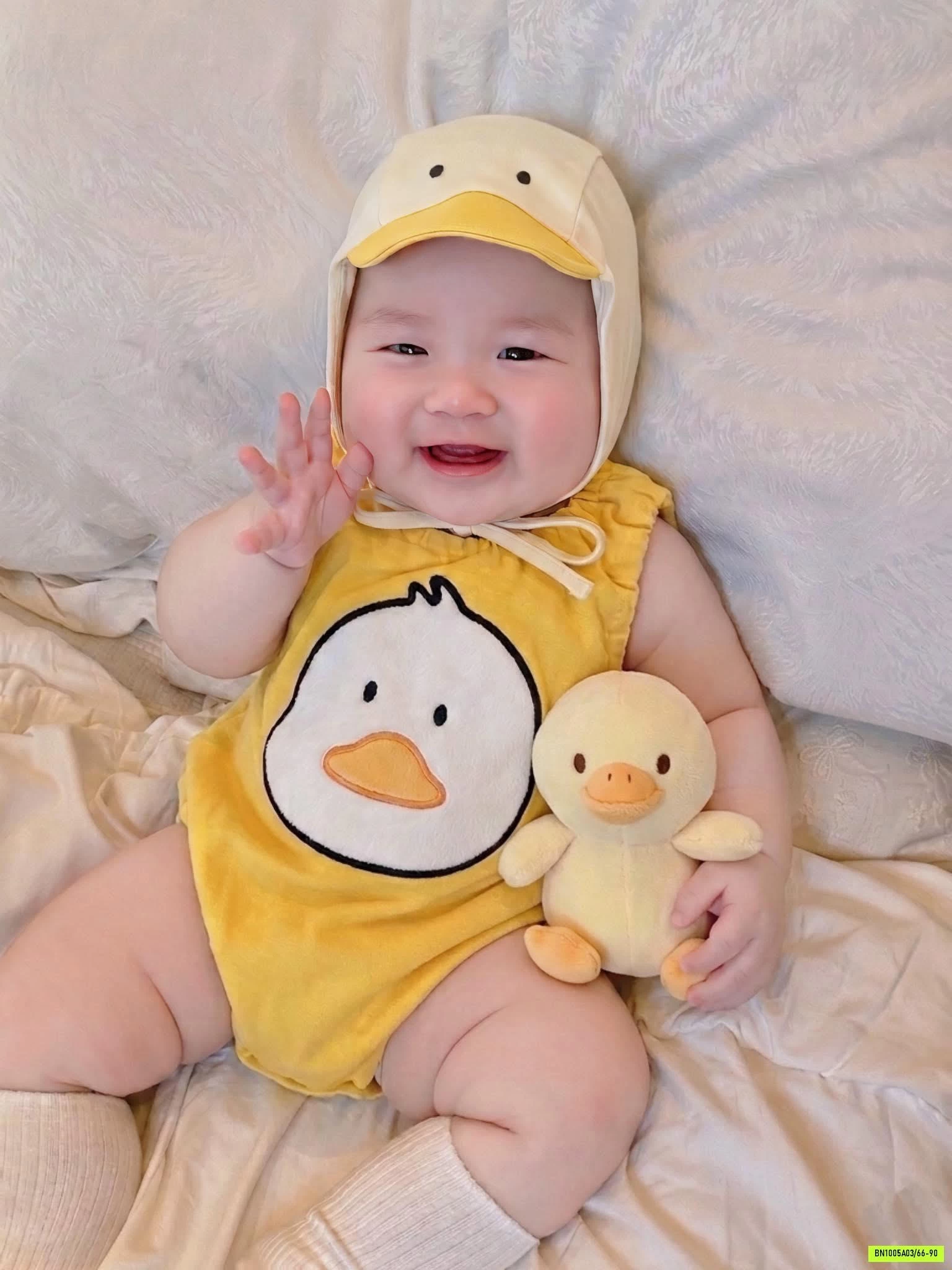 BODY VỊT VÀNG