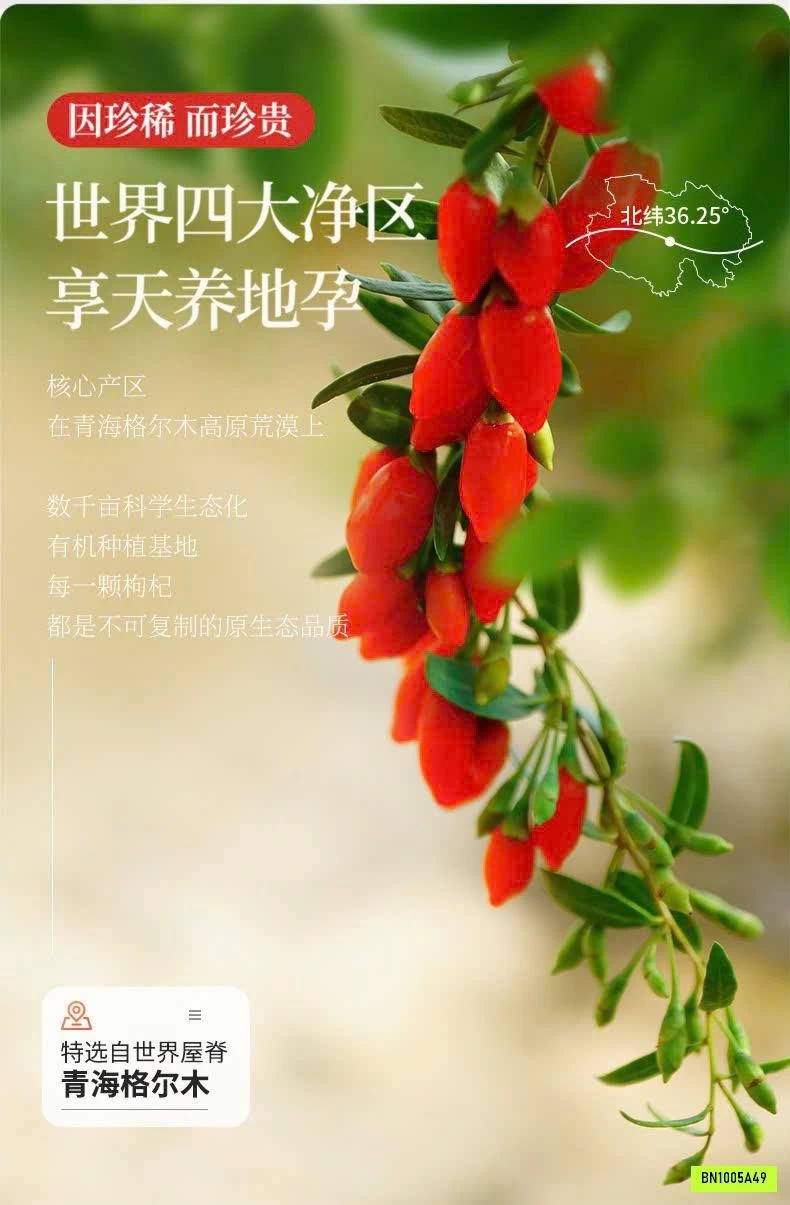 KỶ TỬ ORGANIC QILIXIANG LOẠI ĐẶC BIỆT