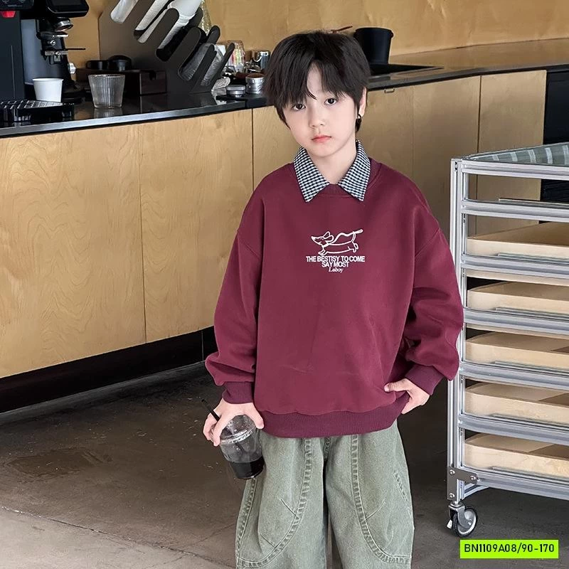 ÁO NỈ IN HÌNH CỔ TRÒN 25F113 AMBB