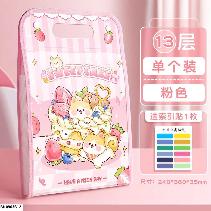 TÚI FILE ĐỰNG TÀI LIỆU