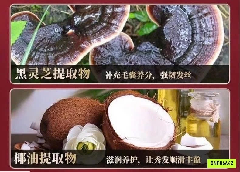 DẦU GỘI GỪNG HÀ THỦ Ô ĐỒNG NHÂN ĐƯỜNG