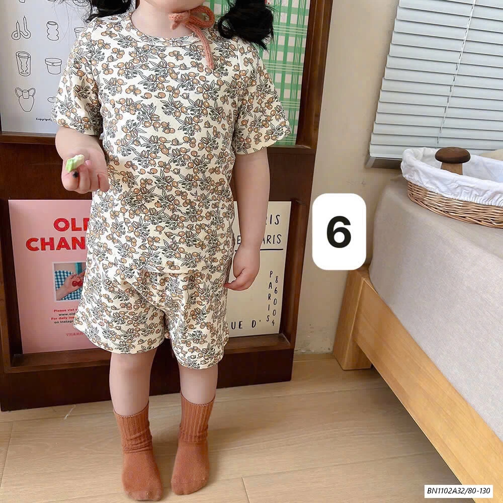 BỘ COTTON XUẤT HÀN