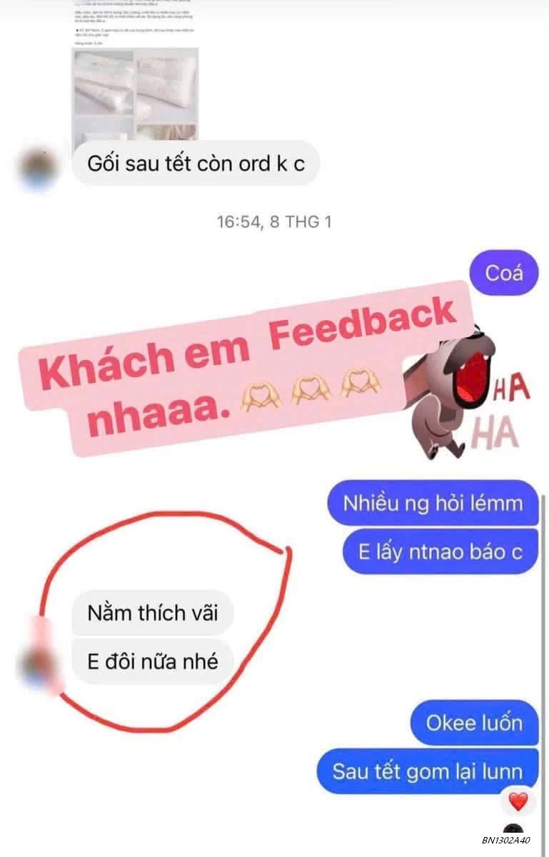 GỐI LẠC ĐÀ KHÁNG KHUẨN