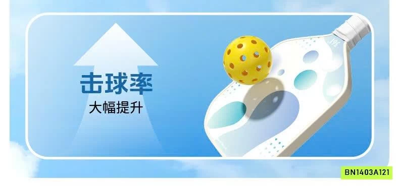 VỢT PICKLEBALL 361