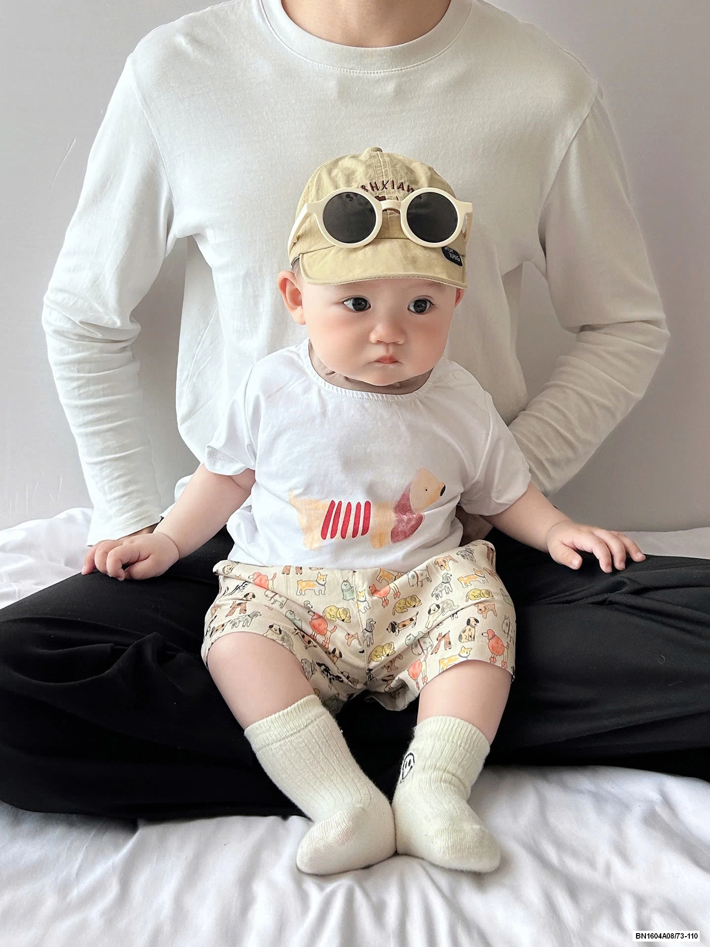 COMBO YẾM THÚ CƯNG