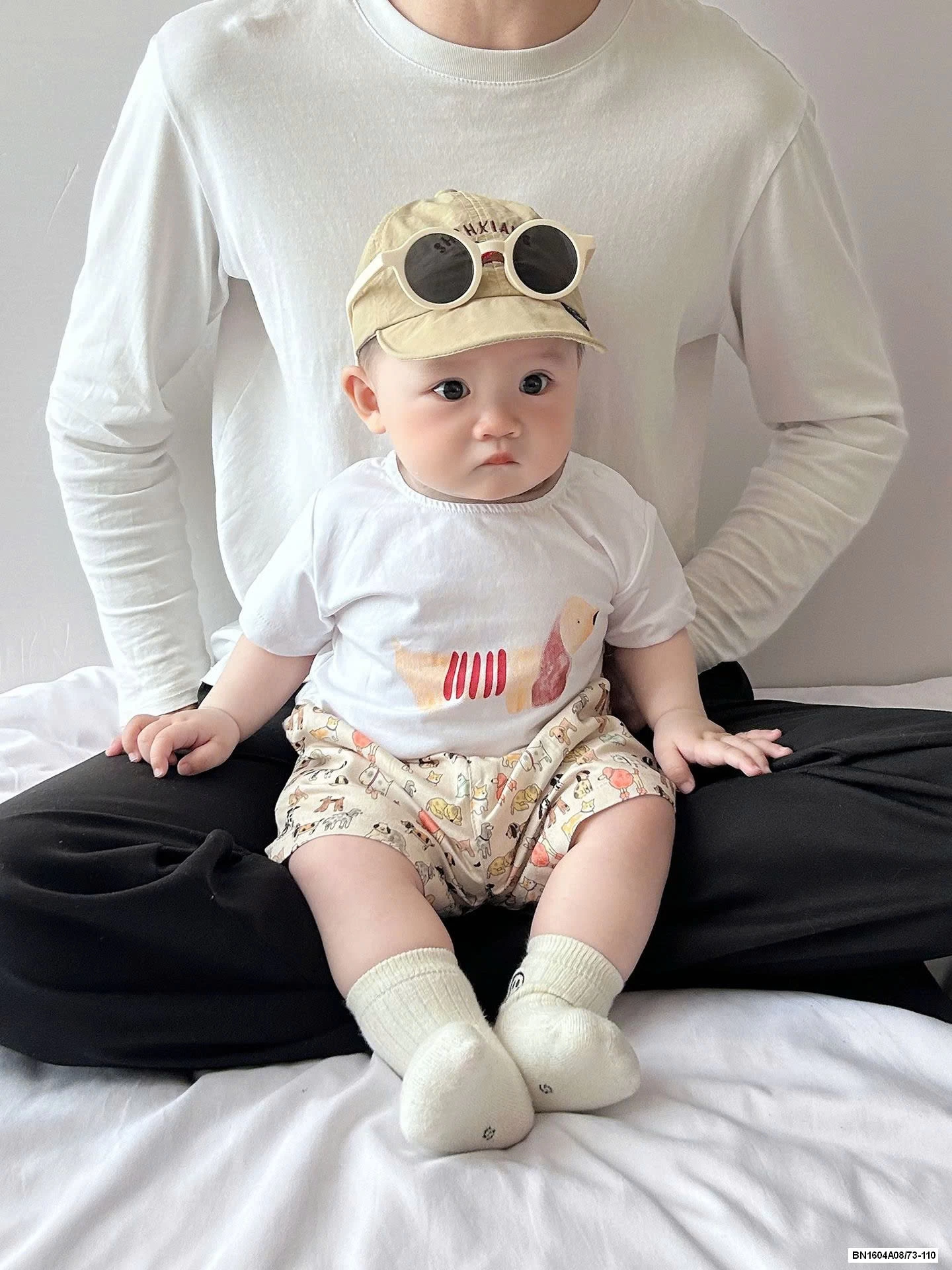 COMBO YẾM THÚ CƯNG