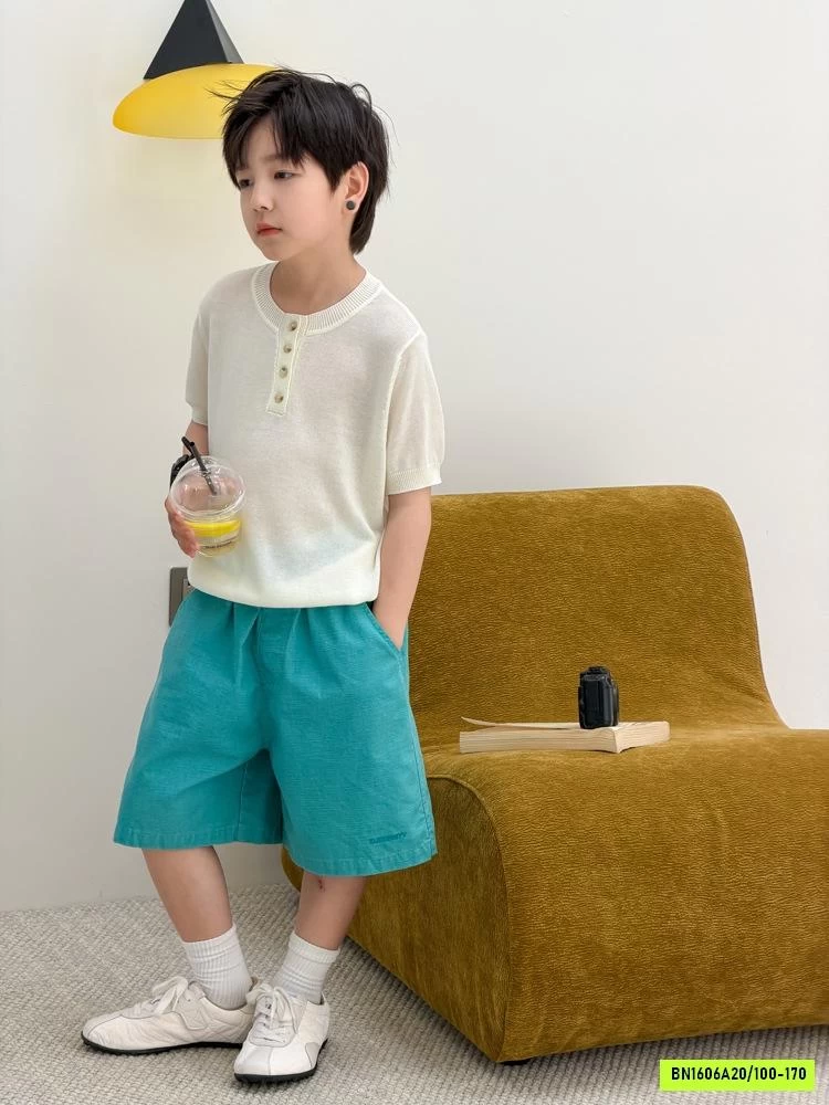 ÁO LƯỚI CỔ TRỤ CÚC NGỰC 26D034 AMBB