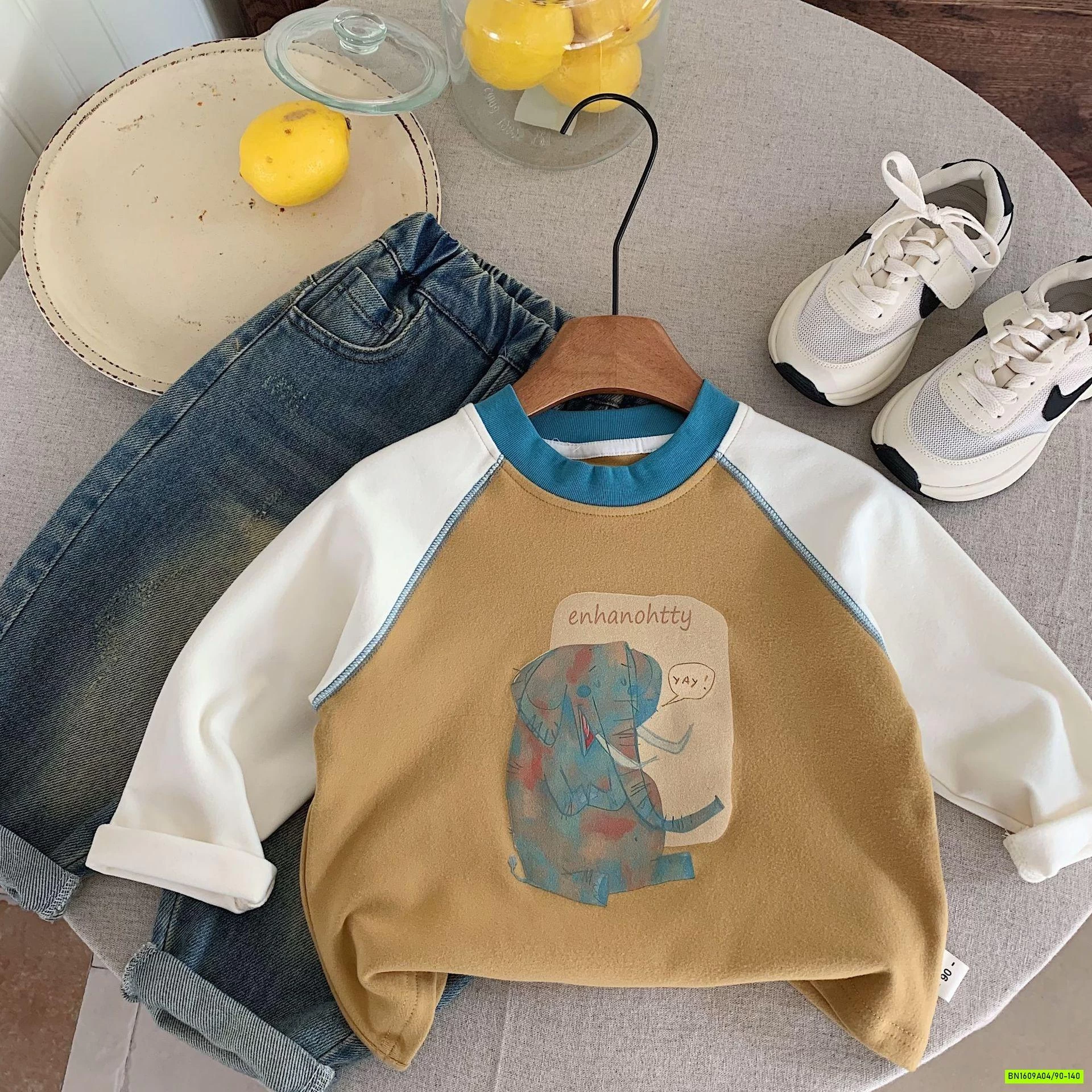 ÁO NỈ IN HÌNH PHỐI MÀU TAY