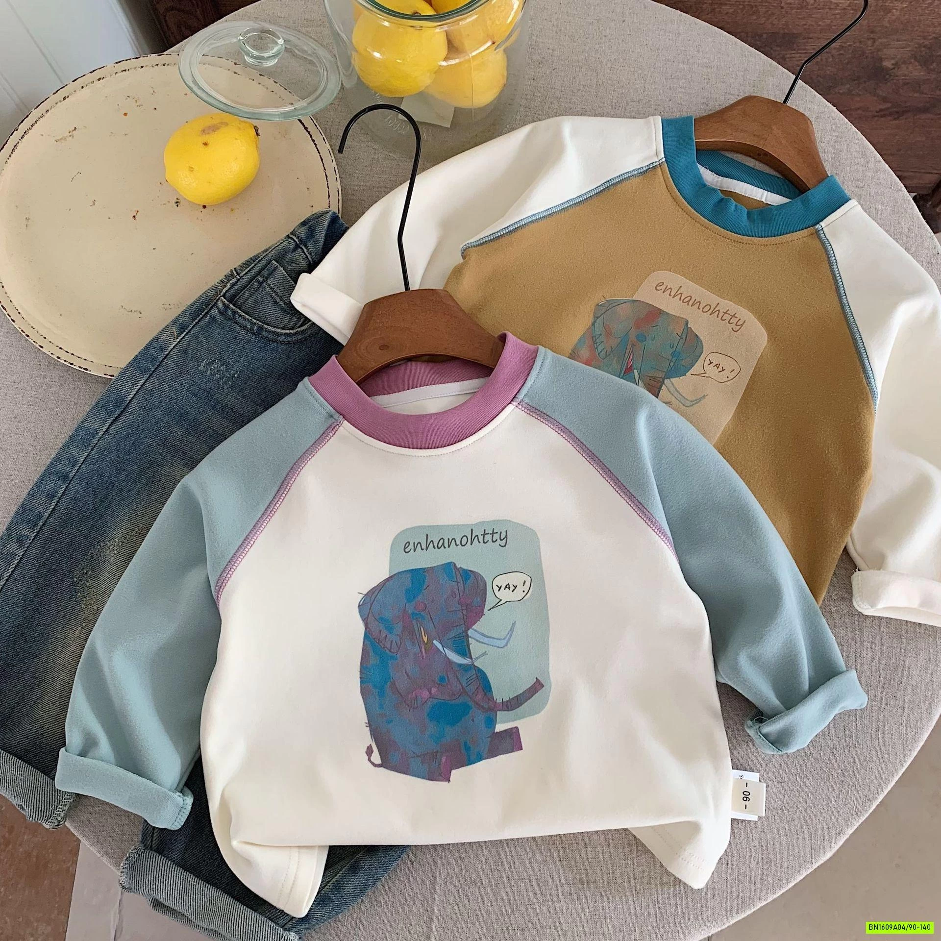 ÁO NỈ IN HÌNH PHỐI MÀU TAY