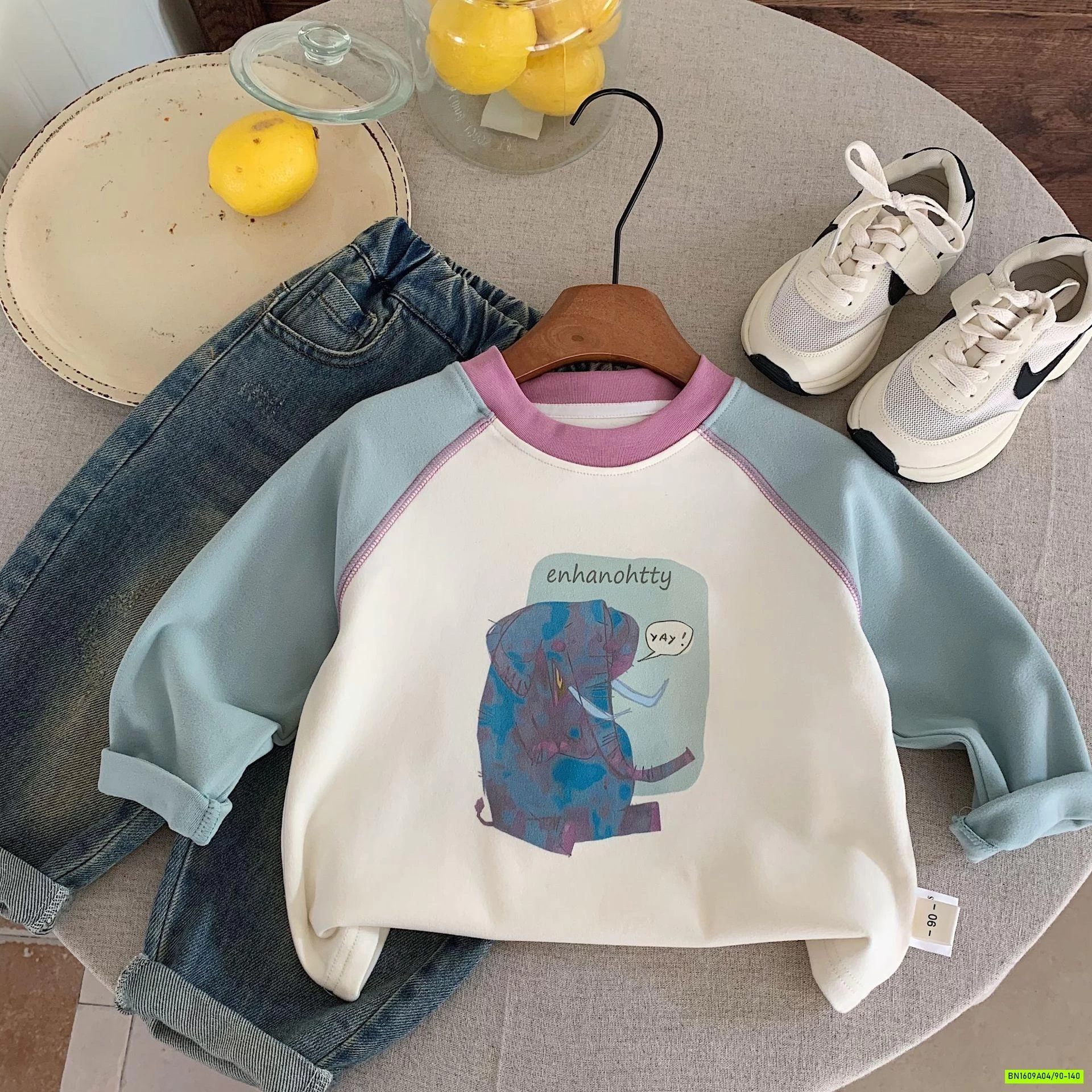 ÁO NỈ IN HÌNH PHỐI MÀU TAY