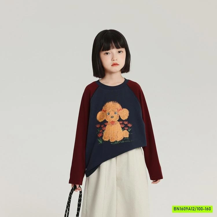 ÁO THUN PHỐI MÀU TAY IN HÌNH