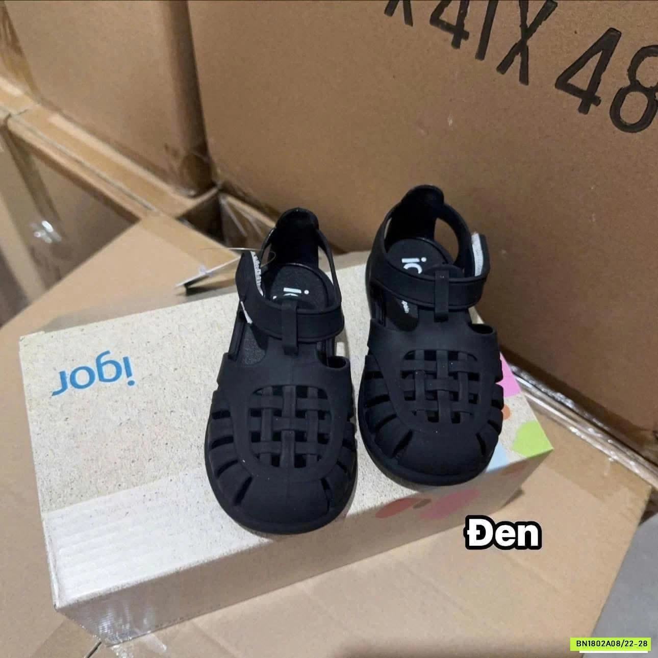 DÉP RỌ THƠM IGOR