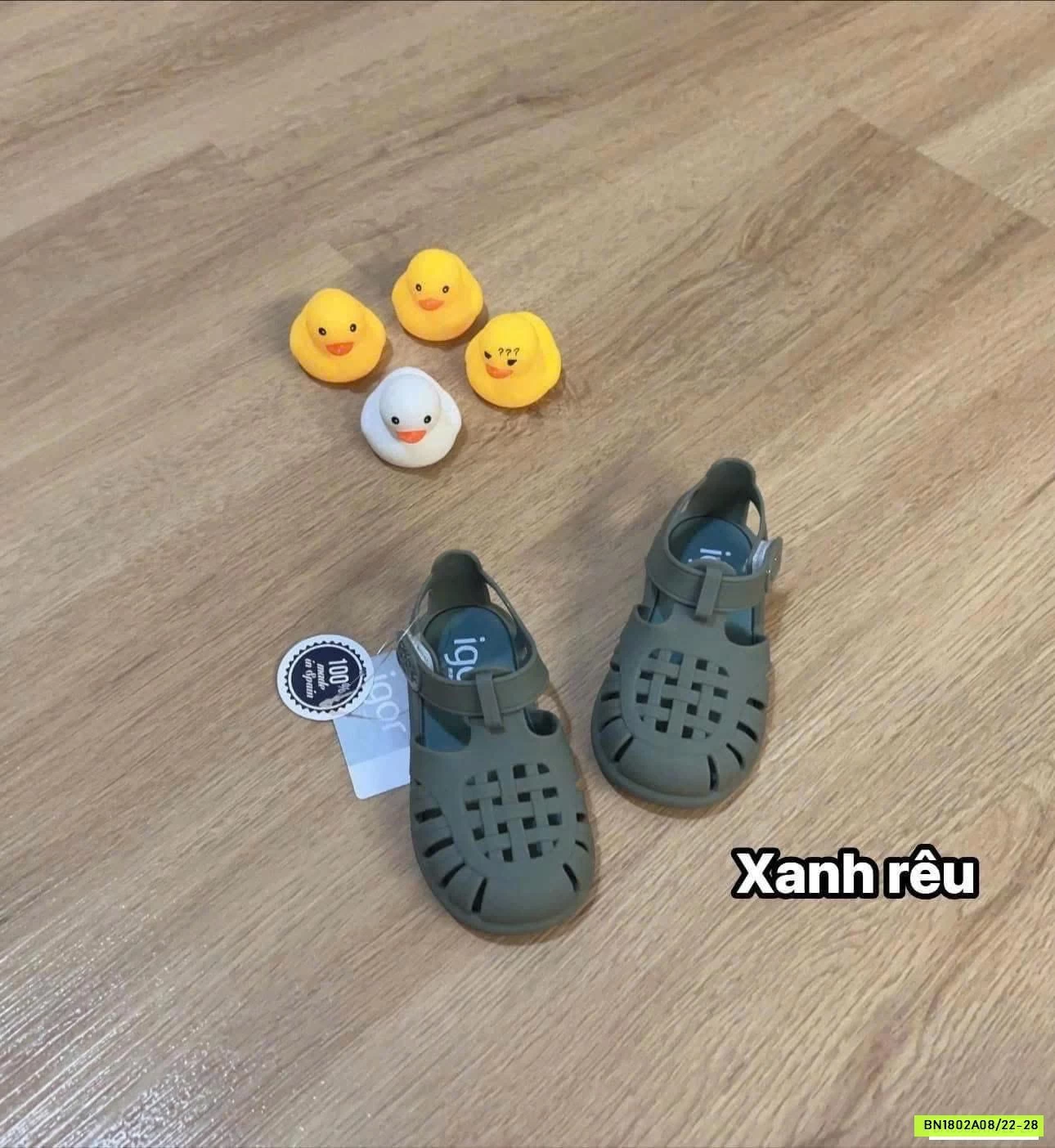 DÉP RỌ THƠM IGOR