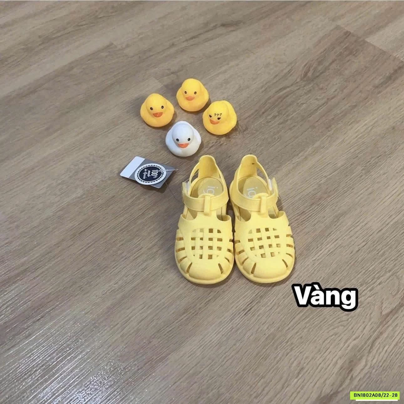 DÉP RỌ THƠM IGOR