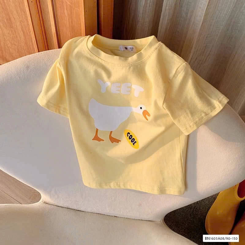 ÁO THUN IN HÌNH 10 MẪU