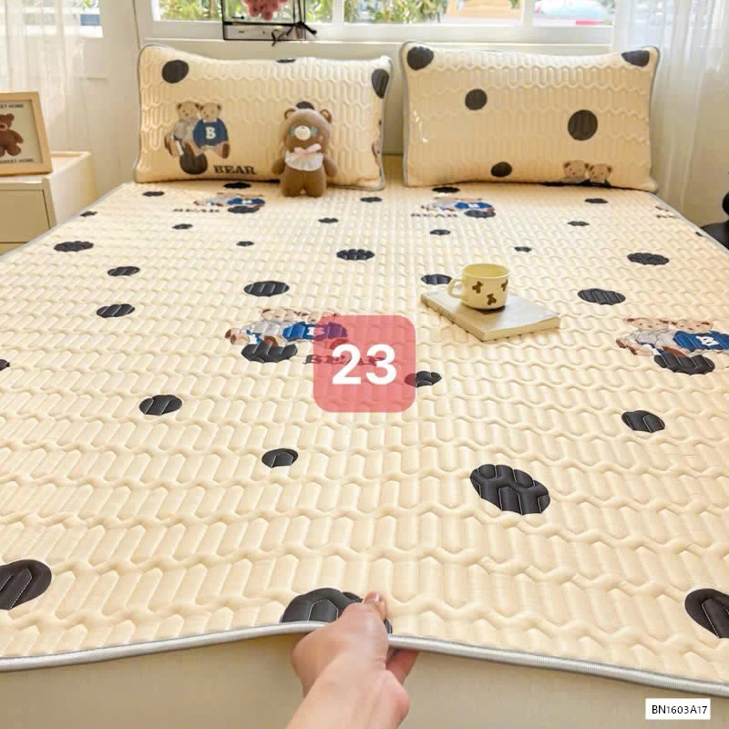 CHIẾU ĐIỀU HÒA QCCC