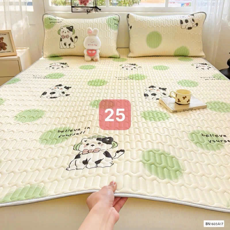 CHIẾU ĐIỀU HÒA QCCC