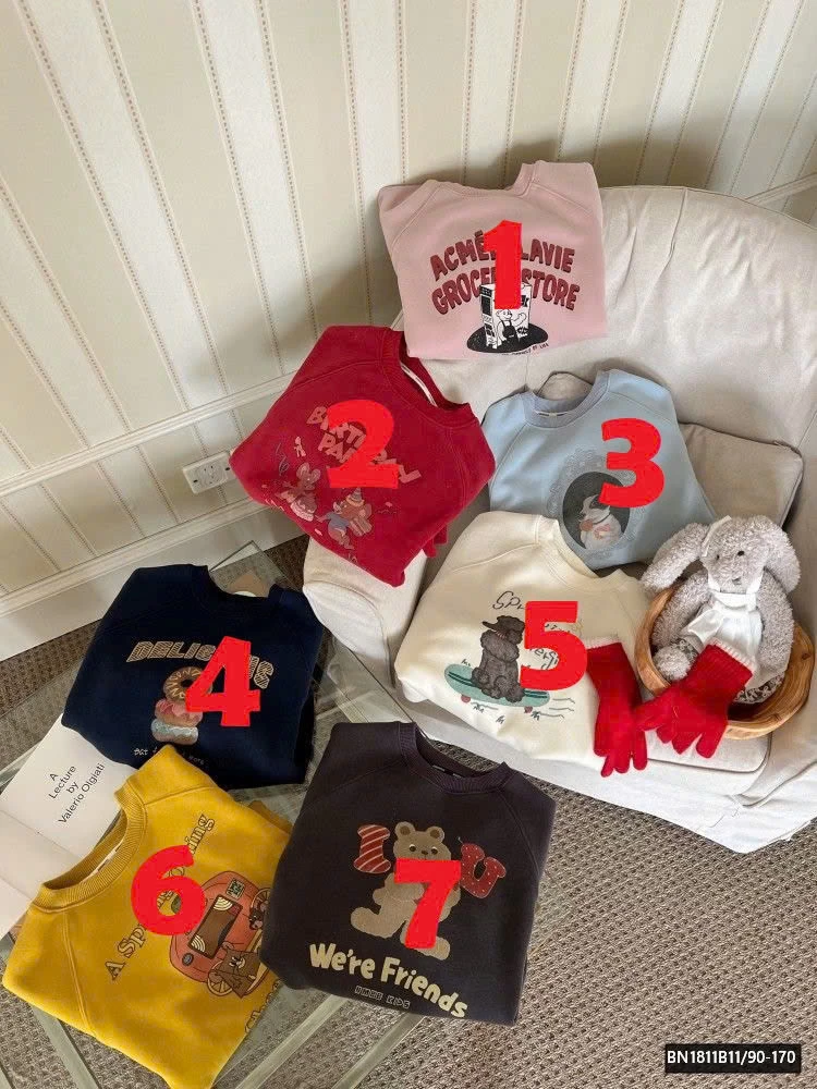 BỘ SƯU TẬP ÁO NỈ GẤU LÓT LÔNG AMBB 25H047