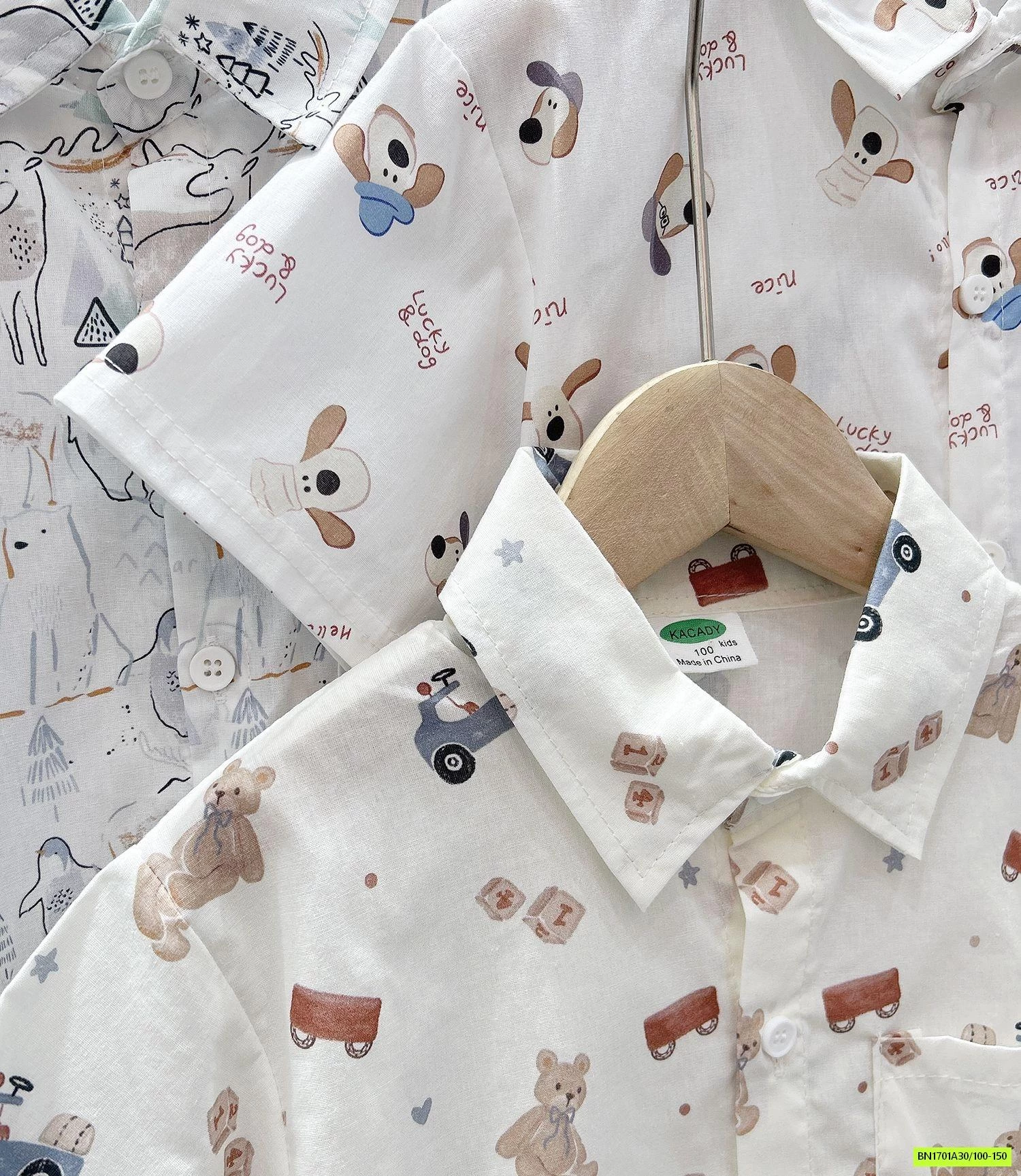 SƠ MI IN HÌNH KACADY