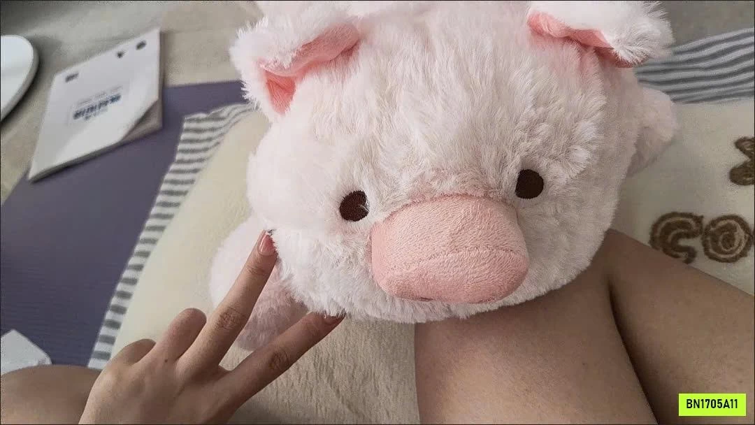 GỐI ÔM THÚ BÔNG SIÊU CƯNG
