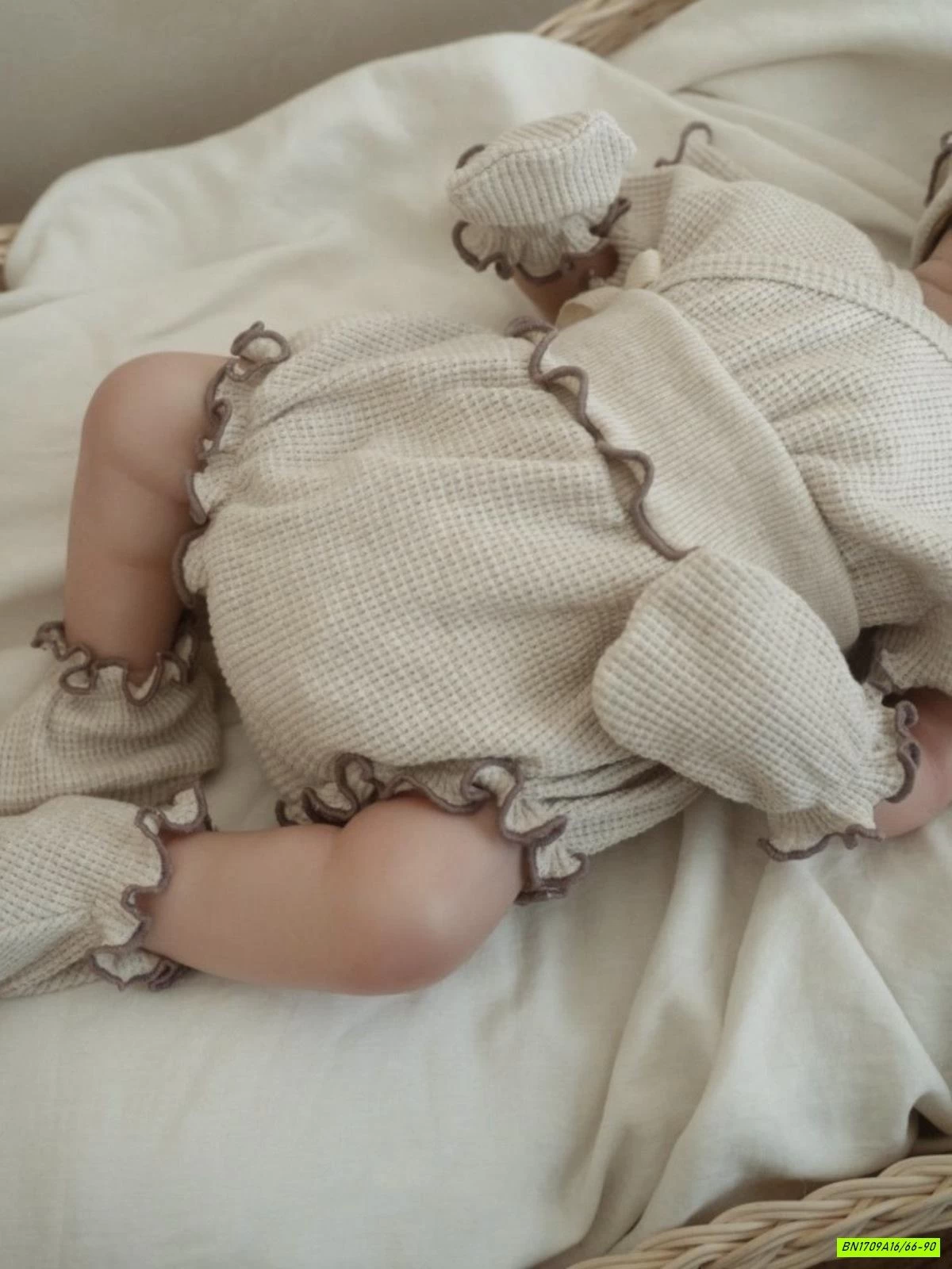 SET BỘ SƠ SINH VIỀN BÈO NGẮN TAY